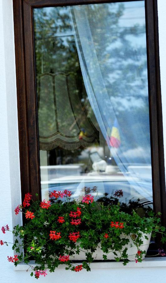 Casa Mora Hotel Deva Bagian luar foto